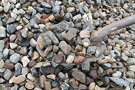 Blackburn Excavating Ltd in Salmon Arm, BC, offers a variety of gravel.